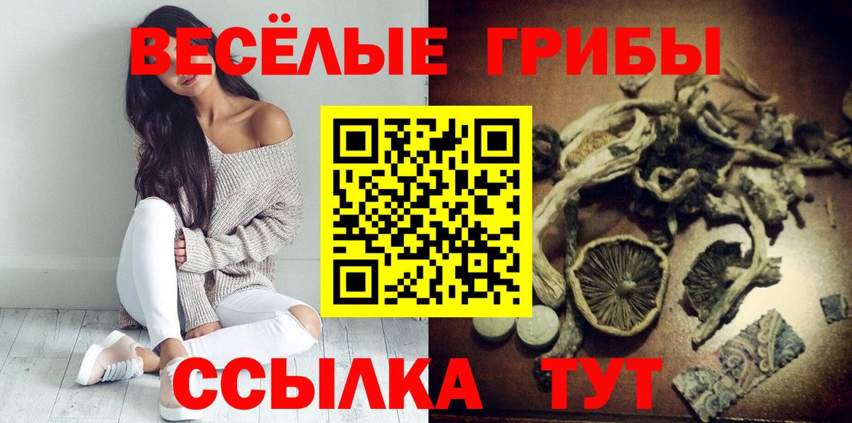 Галлюциногенные грибы Magic Shrooms Вичуга