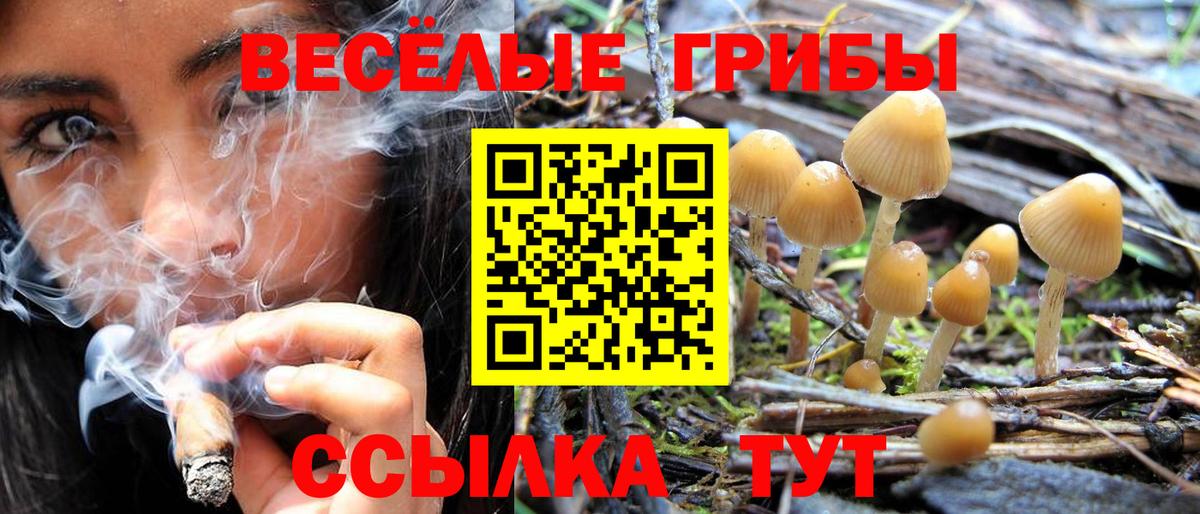 Псилоцибиновые грибы Psilocybine cubensis  Вход с VPN  Галлюциногенные грибы прущие грибы  Вичуга 